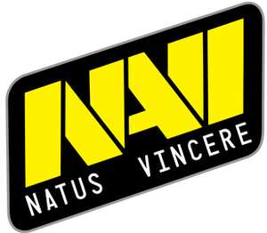 Navi Natus Vincere кружка с ручкой в виде змеи (цвет: белый + черный)