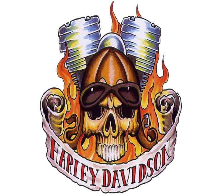 Harley Davidson кружка хамелеон двухцветная (цвет: белый + желтый)