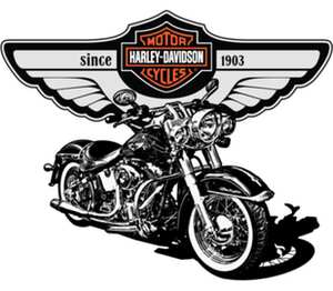 Harley Davidson Motors кружка двухцветная (цвет: белый + зеленый)