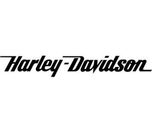 Harley-Davidson / Харлей Дэвидсон кружка хамелеон двухцветная (цвет: белый + желтый)