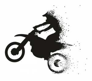 Силуэт мотоциклиста подушка с пайетками (цвет: белый + черный)