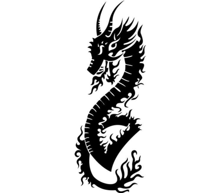 Дракон кружка двухцветная (цвет: белый + черный)