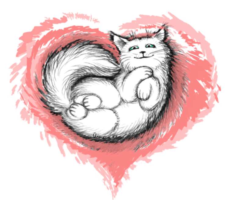 Влюбленный котик кружка хамелеон двухцветная (цвет: белый + красный)