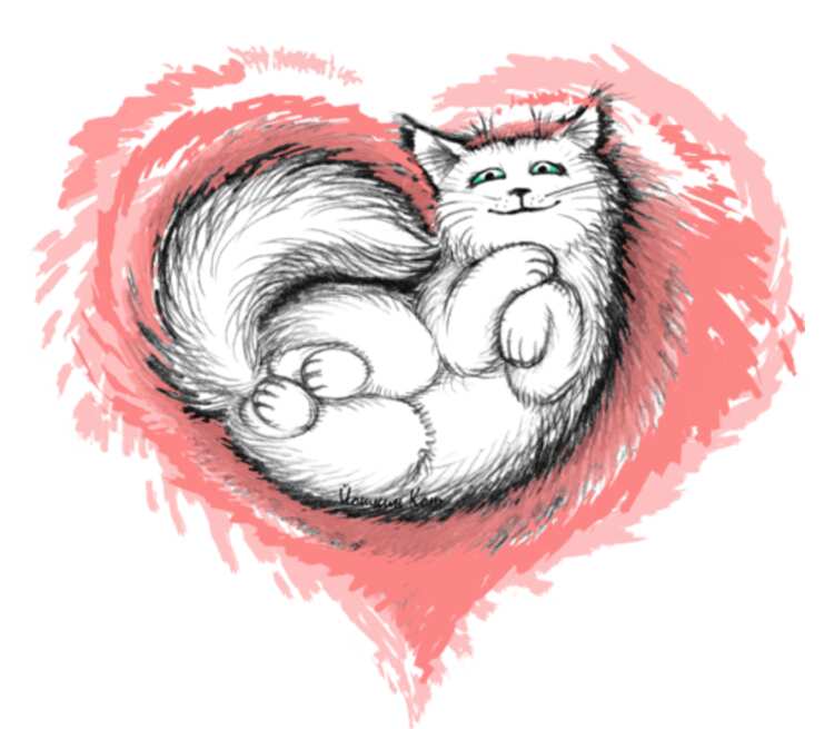 Влюбленный котик подушка (цвет: белый)