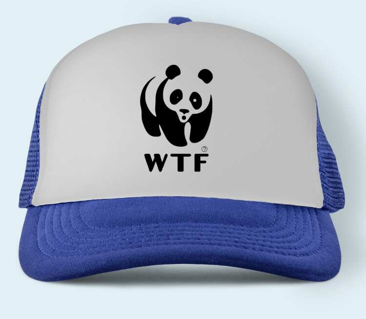 Панда WTF бейсболка (цвет: синий)