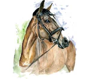 Лошадь акварелью мужская футболка с коротким рукавом (цвет: белый)