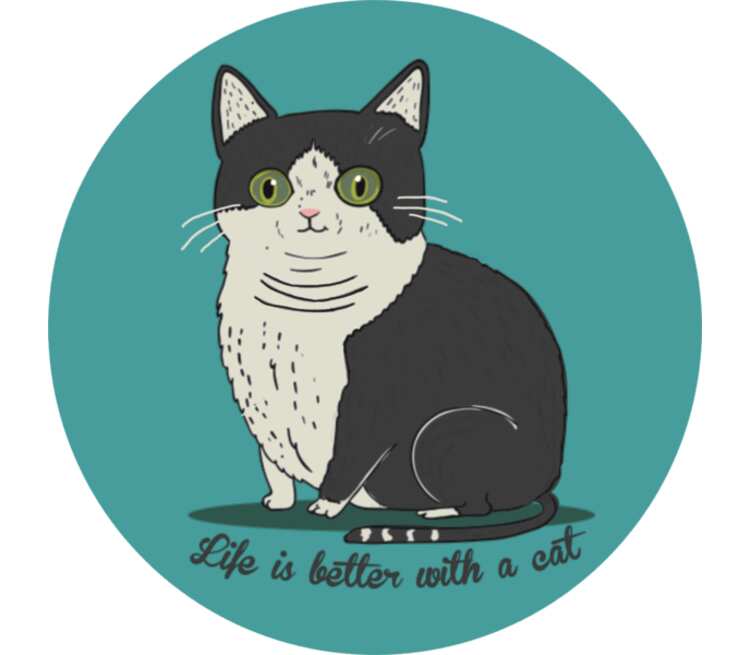 Life is better with a cat кружка с кантом (цвет: белый + желтый)
