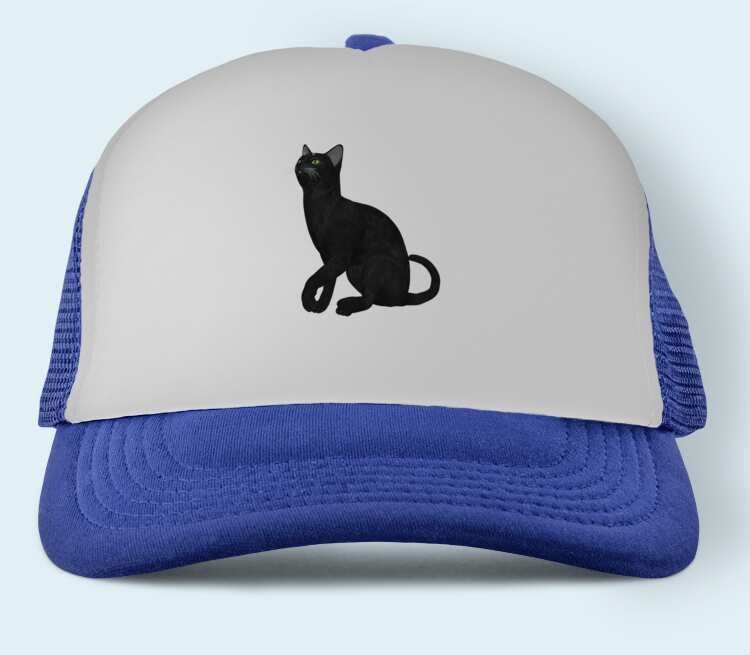 Черная кошка бейсболка (цвет: синий)