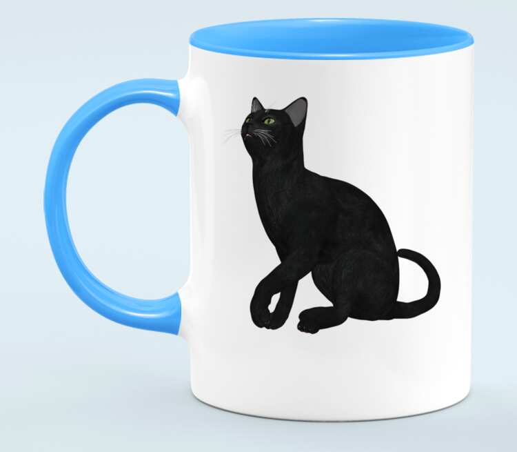 Черная кошка кружка двухцветная (цвет: белый + голубой)
