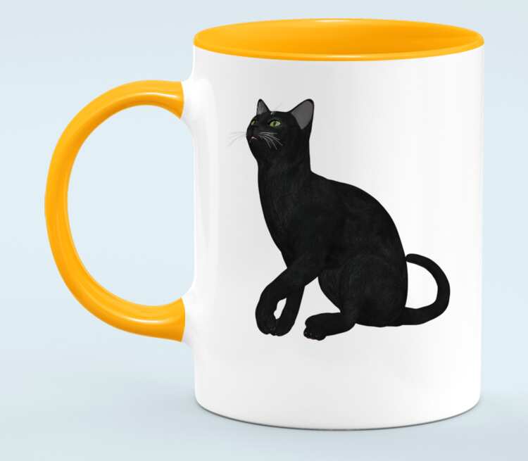 Черная кошка кружка двухцветная (цвет: белый + оранжевый)