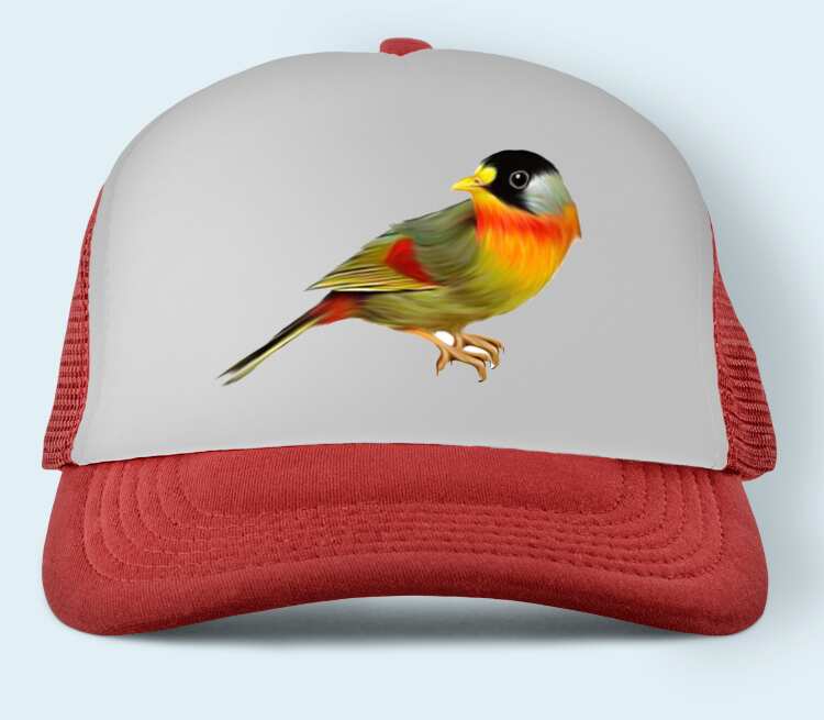 Птичка бейсболка (цвет: красный)