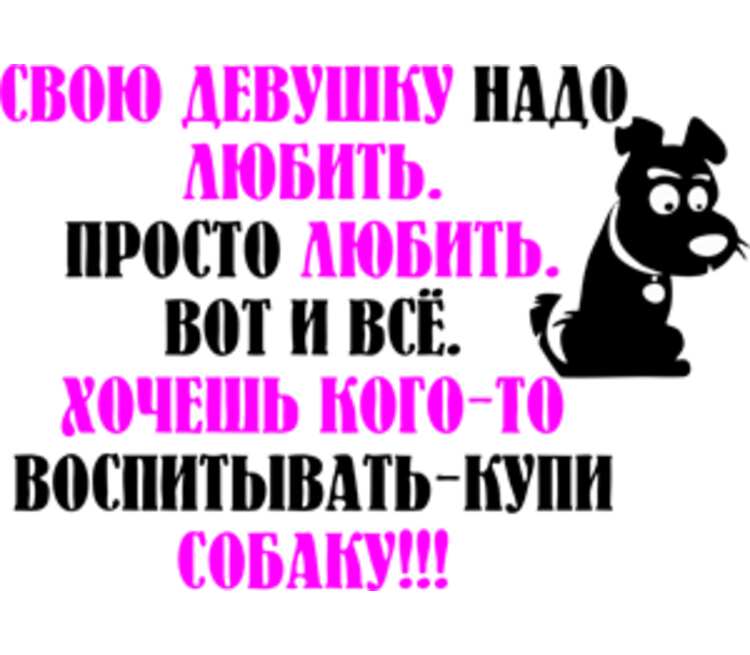 Каждой хорошей девчонке нужно по супер текст. Если хочешь воспитывать заведи собаку. Хочешь кого-то воспитывать заведи собаку.