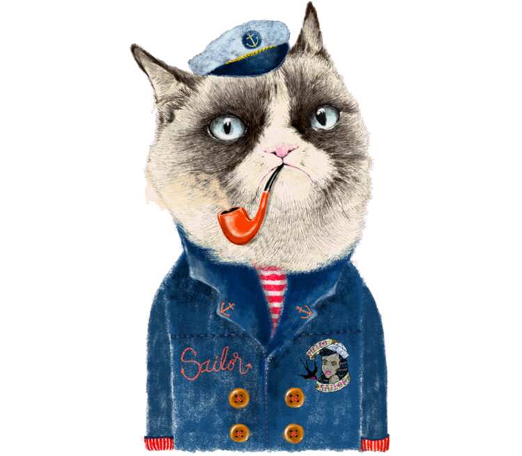 Кот моряк мужская футболка с коротким рукавом (цвет: белый)