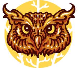 Сова (Owl) мужская футболка с коротким рукавом (цвет: белый)