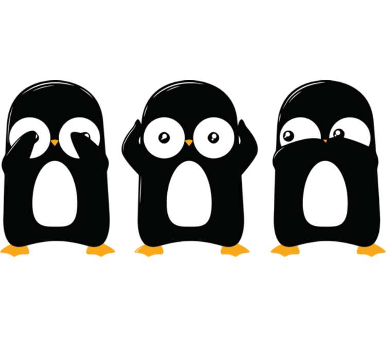 Три пингвина расписание. Патч с пингвинами. 3 Пингвина. Мужские пингвины. Магазин 3 пингвина.
