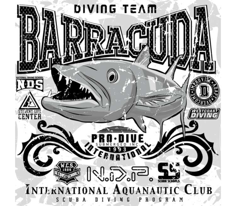 Agency Barracuda