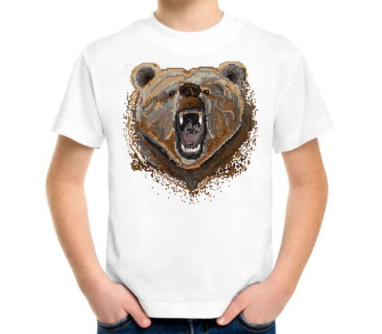 Медведь в футболке