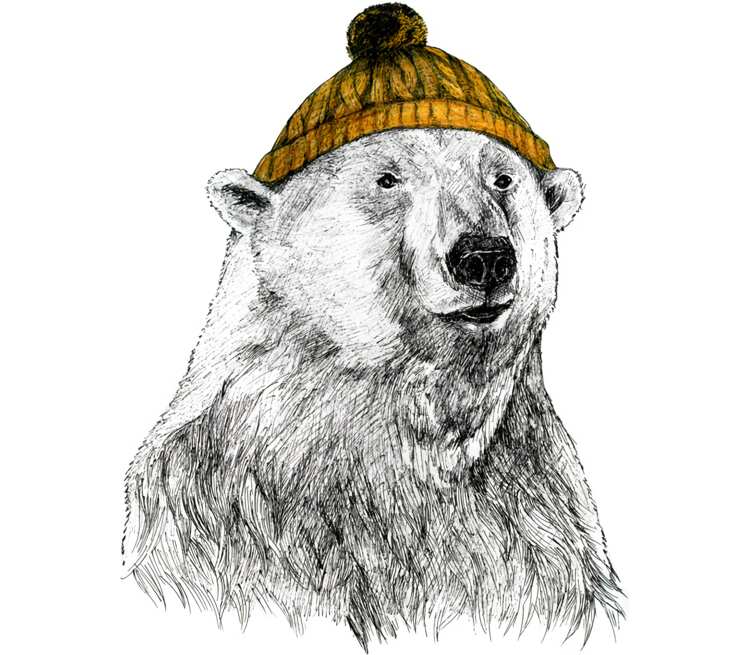 Медведь в шапке