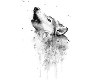 Акварельный Волк подушка с пайетками (цвет: белый + красный)