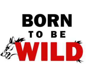Born to be wild женская футболка с коротким рукавом (цвет: белый)