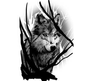 Серый Волк детская футболка с коротким рукавом (цвет: белый)
