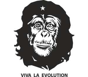 Viva La Evolution кружка с кантом (цвет: белый + черный)