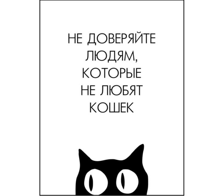 Что не любят кошки. Не доверяйте людям которые не любят кошек. Люди которые не любят кошек. Я не доверяю людям которые не любят кошек.