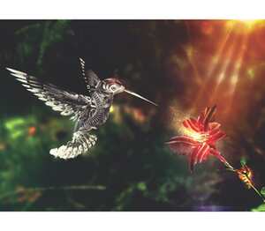 Woodpecker and flower - колибри кружка двухцветная с полной запечаткой (цвет: белый + голубой)
