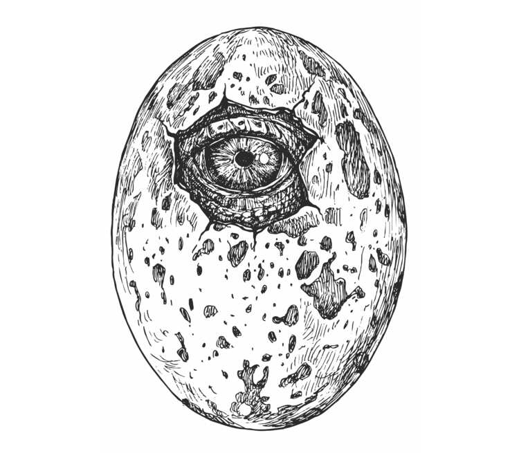 Яйцо с глазом динозавра бейсболка (цвет: черный)