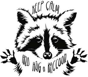 Обними енота (Keep calm and hug a raccoon) женская футболка с коротким рукавом (цвет: белый)