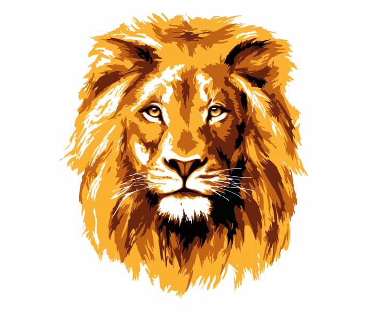 Модульная картина «Морда льва» — цена, размеры, фото