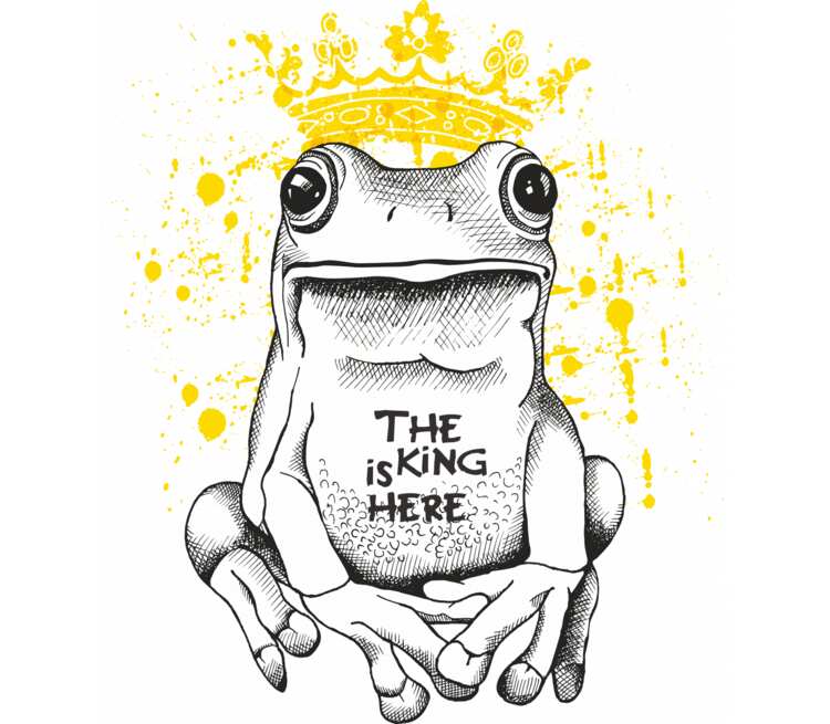 Михалкова лягушачий король читать. Жаба Король. Король Лягушонок скетч. Гравюра Король жаб. Скетч лягушка в банке.