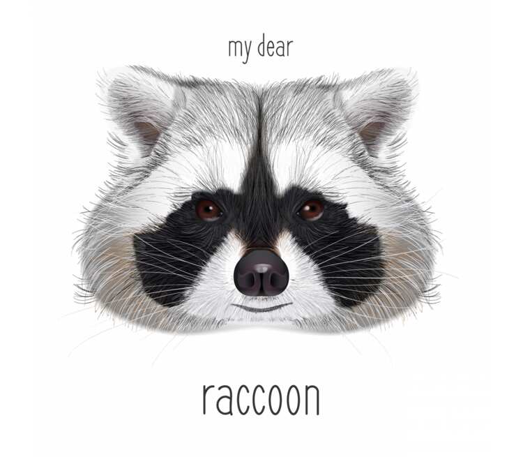 Мой дорогой енот (my dear raccoon) кружка двухцветная (цвет: белый +  желтый) | Все футболки интернет магазин футболок. Дизайнерские футболки,  футболки The Mountain, Yakuza, Liquid Blue