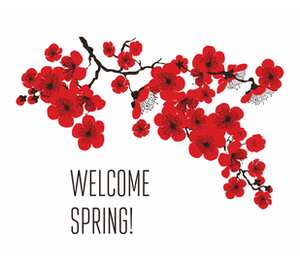 Сакура - добро пожаловать, весна (welcome spring) кружка двухцветная (цвет: белый + желтый)