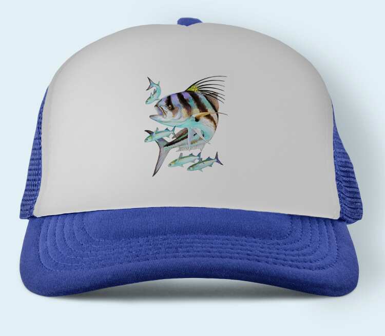Рыбы бейсболка (цвет: синий)