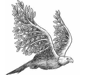 Орёл - крылья ветки бейсболка (цвет: желтый)