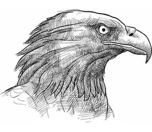 Голова орла детская футболка с коротким рукавом (цвет: белый)