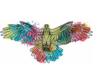 Летящий разноцветный  орёл кружка двухцветная (цвет: белый + розовый)
