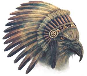 Индейский орел подушка с пайетками (цвет: белый + синий)