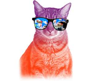 Котик в очках смотрит на рыбок кружка с кантом (цвет: белый + оранжевый)