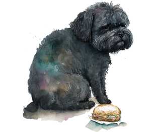 Обиженная собачка с бургером подушка с пайетками (цвет: белый + черный)