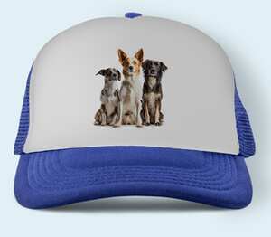 Три собаки бейсболка (цвет: синий)