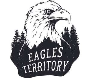 Орилная территория / eagles territory подушка с пайетками (цвет: белый + красный)