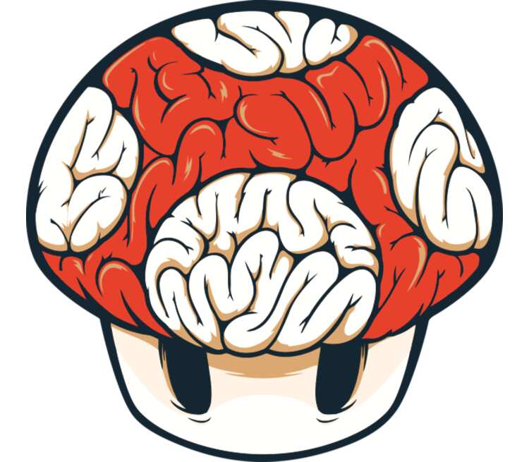 Гриб для мозга. Белый гриб из Марио. Тату гриб Марио. Грибы мозги. Мозги Марио.