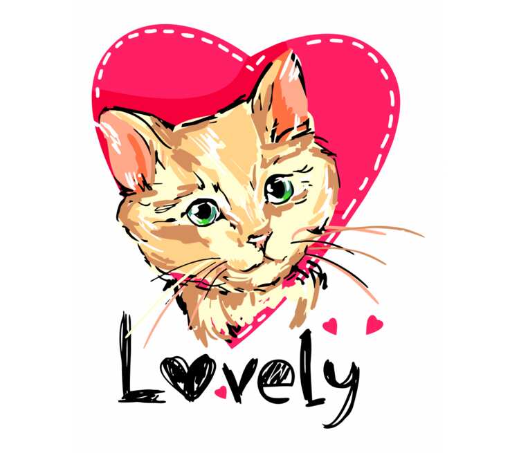 Love cat biz. Кошка Лавли. Кошка Лавли Мун Лайт. Lovely Cat Курган. Lovely Cat Clipart.