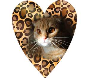 Кот в леопардовом сердце кружка с ложкой в ручке (цвет: белый + розовый)