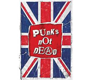 Punks Not Dead кружка хамелеон (цвет: белый + черный)