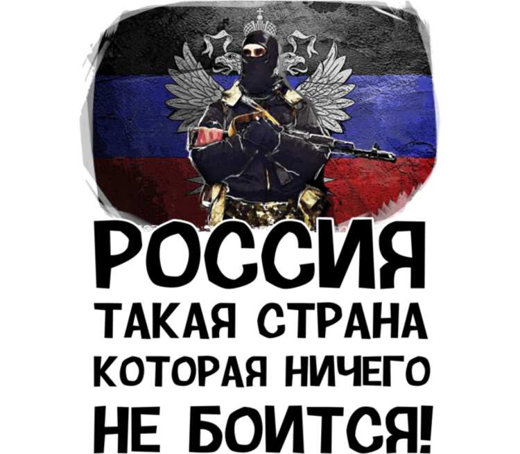 Почему россия ничего не делает. Россия такая Страна которая ничего не боится. Россия ничего не боится. Россия это такая Страна. Ничего не бойся ты православный.