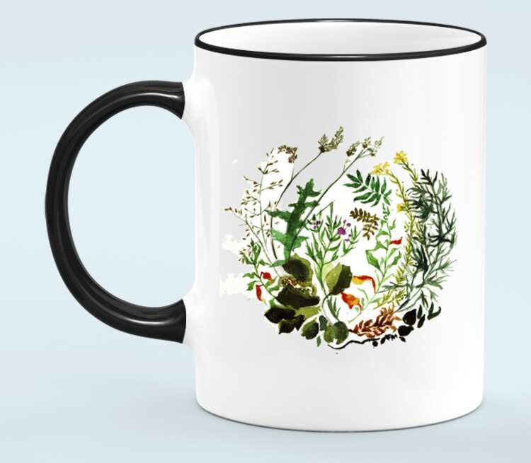 Антотка кружки. Кружка с растениями. Чашка с фотографией цветов. Растения в кружке. Кружки с травами.