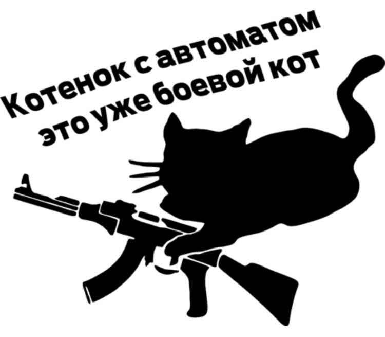 Котенок с автоматом картинка